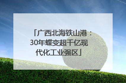 广西北海铁山港：30年蝶变超千亿现代化工业强区