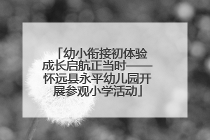 幼小衔接初体验 成长启航正当时——怀远县永平幼儿园开展参观小学活动