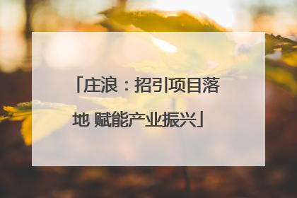 庄浪：招引项目落地 赋能产业振兴