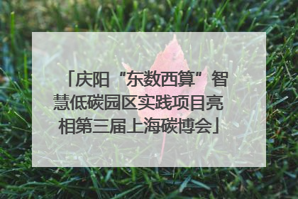 庆阳“东数西算”智慧低碳园区实践项目亮相第三届上海碳博会