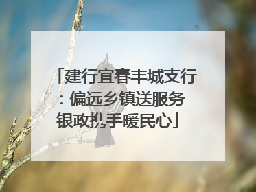 建行宜春丰城支行：偏远乡镇送服务 银政携手暖民心