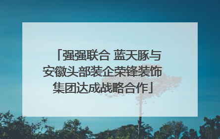 强强联合 蓝天豚与安徽头部装企荣锋装饰集团达成战略合作