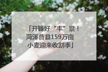 开镰好“丰”景！菏泽曹县159万亩小麦迎来收割季