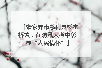 张家界市慈利县杉木桥镇：在防汛大考中彰显“人民情怀”