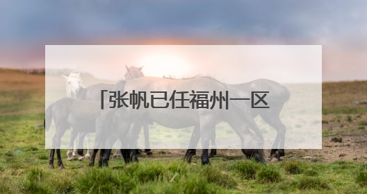 张帆已任福州一区代区长（附简历）