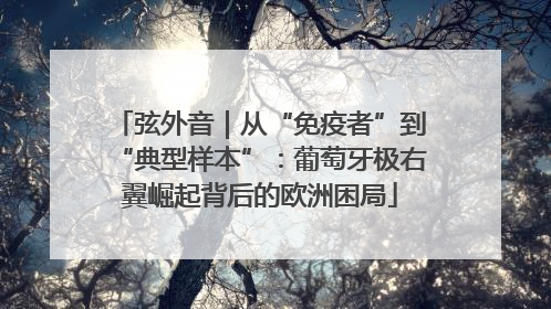 弦外音｜从“免疫者”到“典型样本”：葡萄牙极右翼崛起背后的欧洲困局