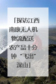 探访江西南康无人机物流配送 农产品十分钟“飞出”深山