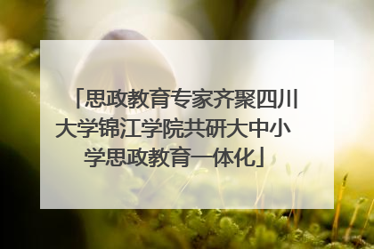 思政教育专家齐聚四川大学锦江学院共研大中小学思政教育一体化