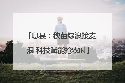 息县：秧苗绿浪接麦浪 科技赋能抢农时