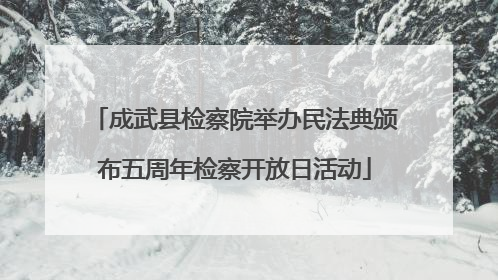 成武县检察院举办民法典颁布五周年检察开放日活动