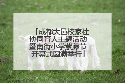 成都大邑校家社协同育人主题活动暨南街小学紫藤节开幕式圆满举行