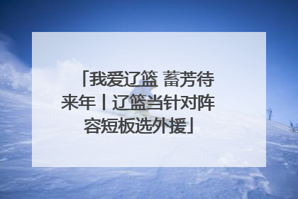 我爱辽篮 蓄芳待来年丨辽篮当针对阵容短板选外援