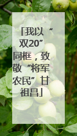 我以“双20”同框，致敬“将军农民”甘祖昌