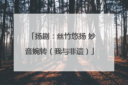 扬剧：丝竹悠扬 妙音婉转（我与非遗）
