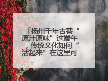 扬州千年古巷“原汁原味”过端午，传统文化如何“活起来”在这里可以找到答案