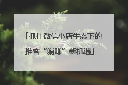 抓住微信小店生态下的推客“躺赚”新机遇