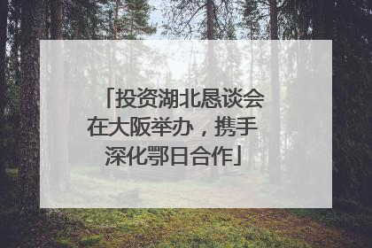 投资湖北恳谈会在大阪举办，携手深化鄂日合作