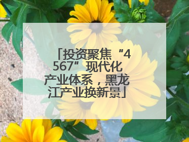 投资聚焦“4567”现代化产业体系，黑龙江产业换新景