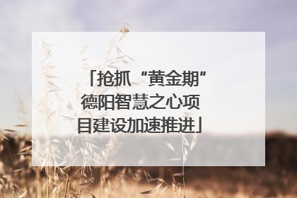 抢抓“黄金期” 德阳智慧之心项目建设加速推进