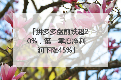 拼多多盘前跌超20%，第一季度净利润下降45%