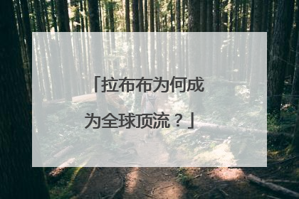 拉布布为何成为全球顶流？