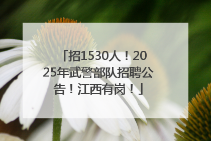 招1530人！2025年武警部队招聘公告！江西有岗！