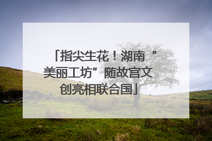 指尖生花！湖南“美丽工坊”随故宫文创亮相联合国