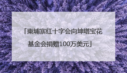 柬埔寨红十字会向坤塔宝花基金会捐赠100万美元