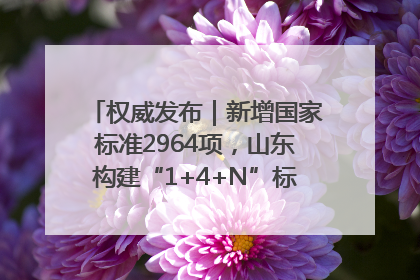 权威发布｜新增国家标准2964项，山东构建“1+4+N”标准化创新发展新格局