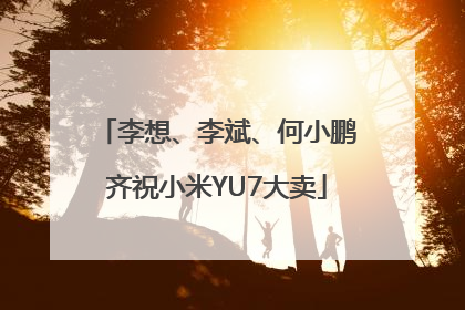 李想、李斌、何小鹏齐祝小米YU7大卖