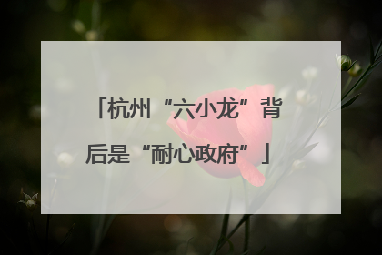 杭州“六小龙”背后是“耐心政府”