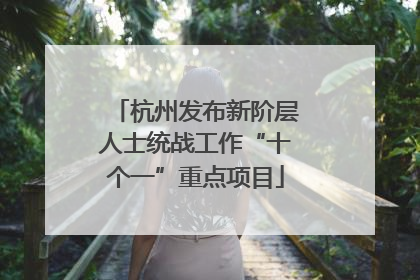 杭州发布新阶层人士统战工作“十个一”重点项目