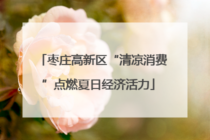 枣庄高新区“清凉消费”点燃夏日经济活力