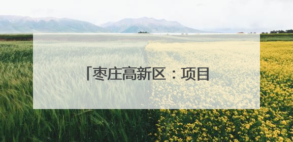 枣庄高新区：项目“落地成金” 产业“聚链成群”