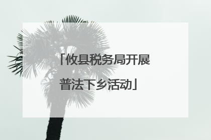 攸县税务局开展普法下乡活动