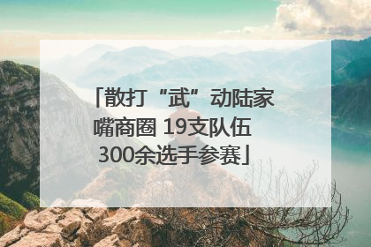 散打“武”动陆家嘴商圈 19支队伍300余选手参赛