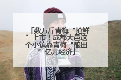 数万斤青梅“抢鲜”上市！成都大邑这个小镇靠青梅“酿出”亿元经济