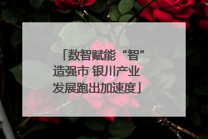 数智赋能“智”造强市 银川产业发展跑出加速度
