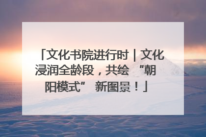 文化书院进行时｜文化浸润全龄段，共绘 “朝阳模式” 新图景！