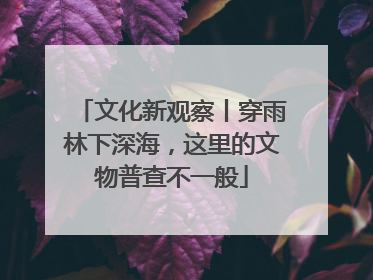 文化新观察丨穿雨林下深海，这里的文物普查不一般