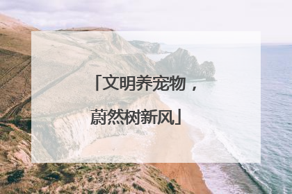 文明养宠物，蔚然树新风