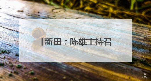新田：陈雄主持召开2025年第15次县委常委会会议