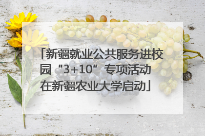 新疆就业公共服务进校园“3+10”专项活动在新疆农业大学启动