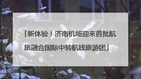 新体验！济南机场迎来首批航旅融合国际中转航线旅游团