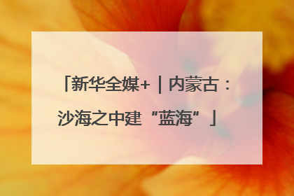 新华全媒+｜内蒙古：沙海之中建“蓝海”