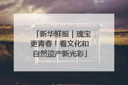 新华鲜报｜瑰宝更青春！看文化和自然遗产新光彩