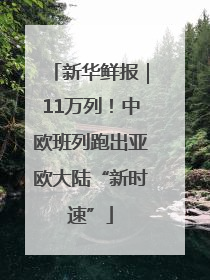 新华鲜报｜11万列！中欧班列跑出亚欧大陆“新时速”