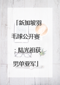 新加坡羽毛球公开赛：陆光祖获男单亚军