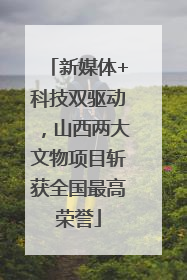 新媒体+科技双驱动，山西两大文物项目斩获全国最高荣誉