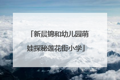 新晨锦和幼儿园萌娃探秘莲花街小学